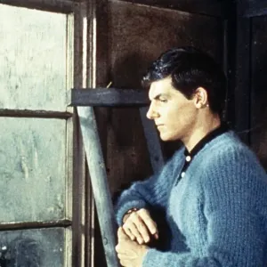 StudioCANAL Konga (1961) 8mm Print StudioCANAL Konga (1961) 8mm Print