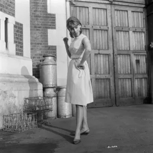 Julie Christie in a portrait for the release of Billy Liar (1963)