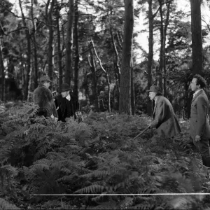Kind Hearts And Coronets Kind Hearts And Coronets