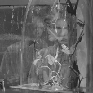 The Man Who Fell To Earth The Man Who Fell To Earth