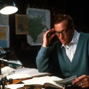 A portrait of Tom Dance from Plenty (1985) A portrait of Tom Dance from Plenty (1985)