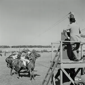 The Rainbow Jacket (1954)