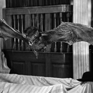 A scene from Scars Of Dracula