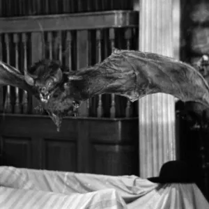 A scene from Scars Of Dracula