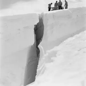 "bw neg pro 017 sco1948". "bw neg pro 017 sco1948".