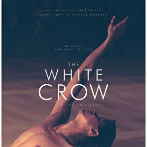 One Sheet teaser poster artwork for The White Crow