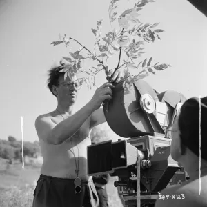 Vegetation on the camera