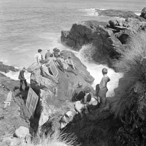 Whisky Galore Whisky Galore
