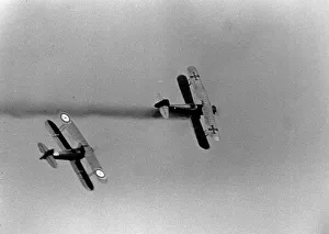 ace1976 bw neg 013