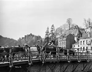 Prints of aga1948 bw neg 150 aga1948 bw neg 150