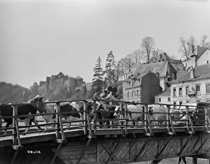 Prints of aga1948 bw neg 151 aga1948 bw neg 151