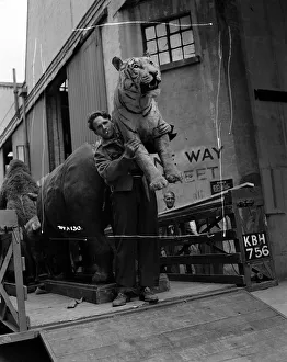Prints of aga1948 bw neg 172 aga1948 bw neg 172