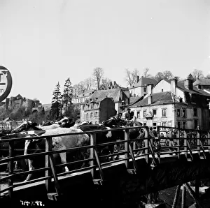 Prints of aga1948 bw neg 190 aga1948 bw neg 190