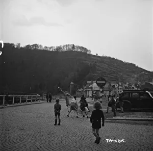 Prints of aga1948 bw neg 198 aga1948 bw neg 198