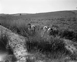 aga1948 bw neg 251