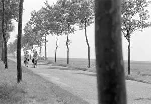 Prints of and1970 bw neg 092 and1970 bw neg 092