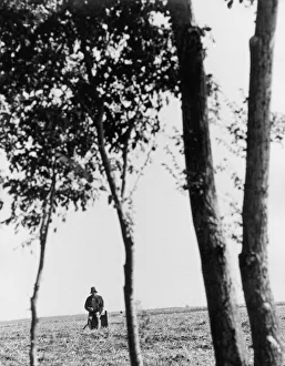 Prints of and1970 bw pri 096 and1970 bw pri 096
