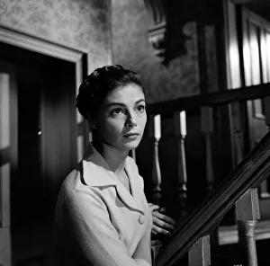 anr1960 bw neg 132