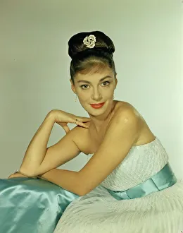 anr1960 co neg 011