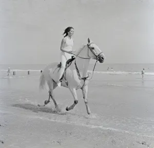 ave bea bw neg 003