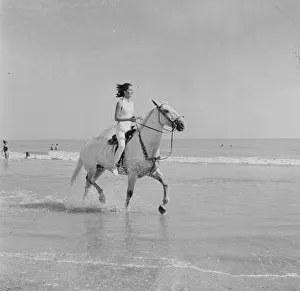 ave bea bw neg 004
