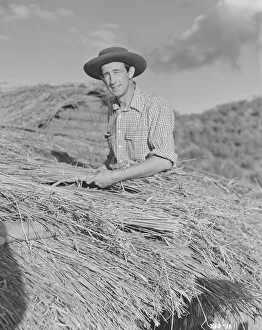 <b class=qtipBold><figcaption>Bitter Springs (1950)</figcaption></b><br>An image from the Ealing Studios film directed by Ralph Smart<br><em>© Copyright Studiocanal Films Ltd</em> Bitter Springs (1950)