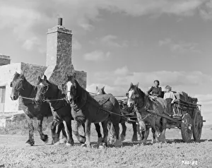 <b class=qtipBold><figcaption>Bitter Springs (1950)</figcaption></b><br>An image from the Ealing Studios film directed by Ralph Smart<br><em>© Copyright Studiocanal Films Ltd</em> Bitter Springs (1950)