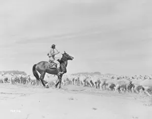 <b class=qtipBold><figcaption>Bitter Springs (1950)</figcaption></b><br>An image from the Ealing Studios film directed by Ralph Smart<br><em>© Copyright Studiocanal Films Ltd</em> Bitter Springs (1950)