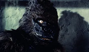 <b class=qtipBold><figcaption>A close up of Konga</figcaption></b><br>taken from the 1961 film directed by John Lemont<br><em>© Copyright Studiocanal Films Ltd</em> A close up of Konga