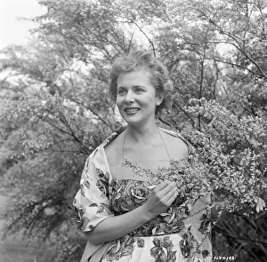 div1954 bw neg 005