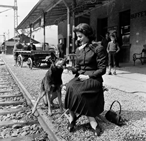 div1954 bw neg 062
