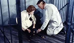 Konga in a cage with Dr. Decker and Margaret