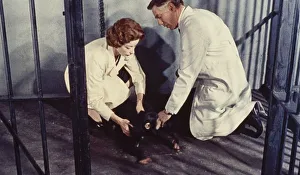 Konga in a cage with Dr. Decker and Margaret
