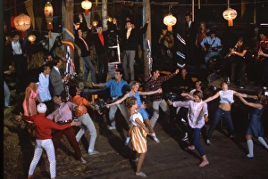 I ve Gotta Horse (1965)