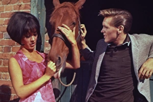 I ve Gotta Horse (1965)