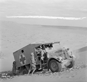 Ice Cold In Alex