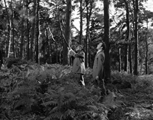 Kind Hearts And Coronets
