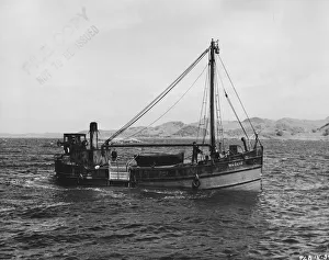 <b class=qtipBold><figcaption>mag1954 bw pri 085</figcaption></b><br><em>© Copyright Studiocanal Films Ltd</em> mag1954 bw pri 085