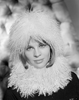 Head And Shoulders Prints: A portrait of Julie Christie for the promotion of Billy Liar (1963)