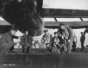 Prints Pro Collection: RAF crew considers the consequences of low flying filming