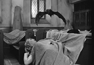 <b class=qtipBold><figcaption>Scars Of Dracula</figcaption></b><br>sca_bw_neg_ 00<br><em>© Copyright © Studiocanal Films Ltd</em> Scars Of Dracula