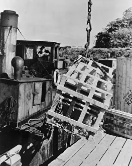 A scene from The Maggie (1954)