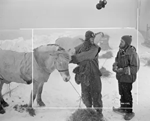 sco1948 bw neg pro 089