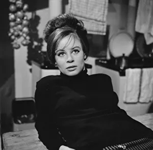ser1963 bw neg 137