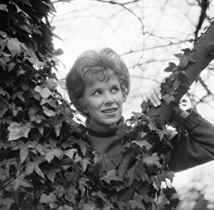 ser1963 bw neg 233