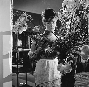 <b class=qtipBold><figcaption>The Servant</figcaption></b><br>ser1963_bw_neg_ 20<br><em>© Copyright © Studiocanal Films Ltd</em> The Servant
