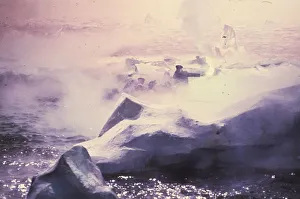sos1979 co tra 019