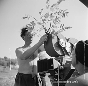Vegetation on the camera