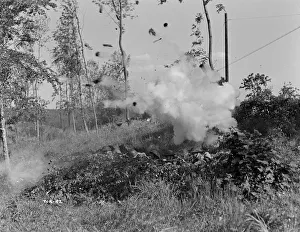wen1942 bw neg pro 077