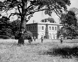 wen1942 bw neg pro 106